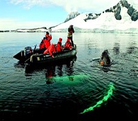 Observing a humpback whale from zodiac Observing a humpback whale from zodiac